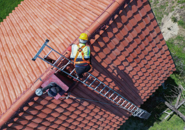Best Solar Panel Roofing Installation  in Fairview, OK